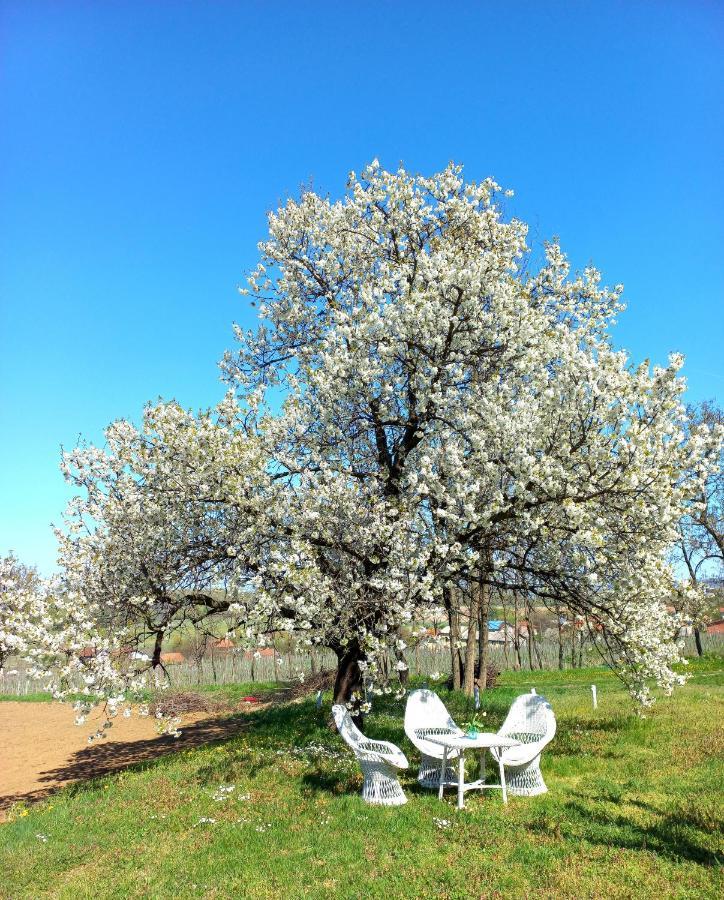 Honey Hill Fruska Gora 别墅 Cerevic