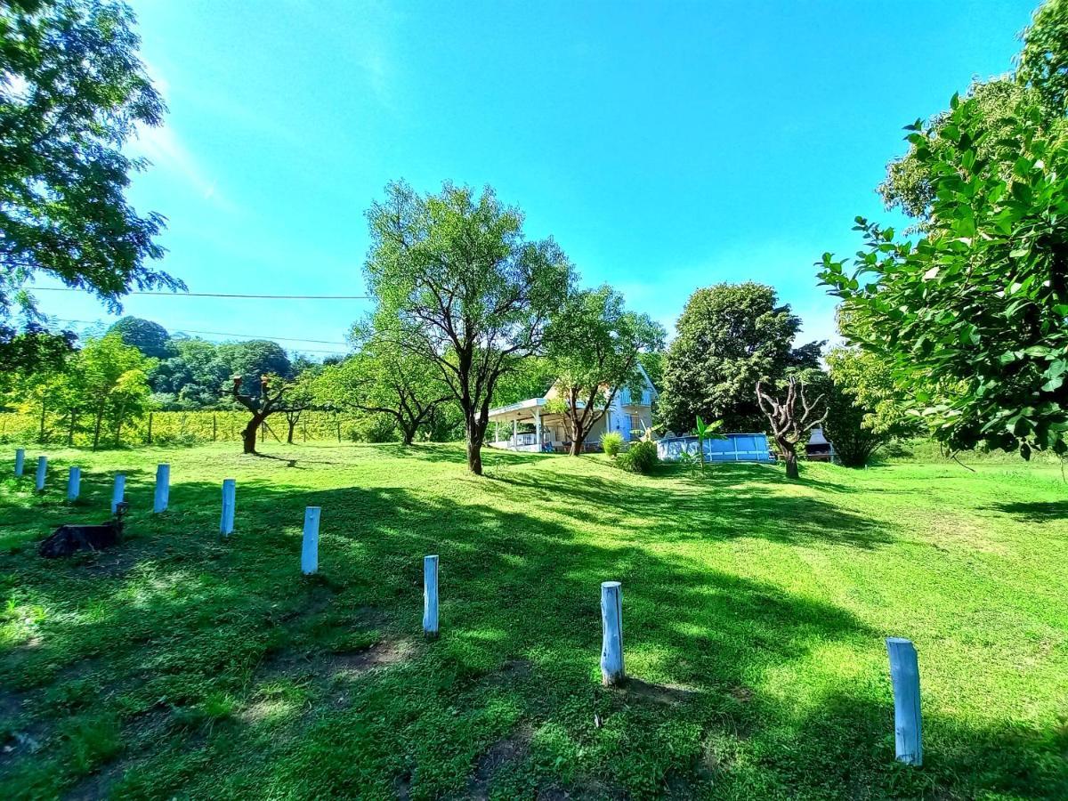 Honey Hill Fruska Gora