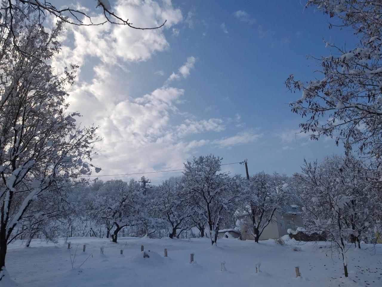 Honey Hill Fruska Gora *